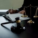 Юридическая помощь в семейных и трудовых спорах в Екатеринбурге
