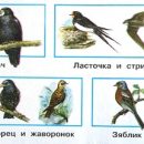 Сборник решебников окружающий мир 2 класс Плешаков