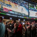 Важные преимущества букмекерской компании 1xbet