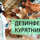 Дезинфекция курятников в Москве