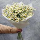 Ромашковая симфония: идеальный букет для счастья